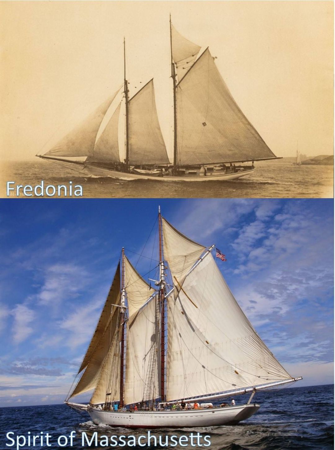 Fisherman Fredonia Replica: The Spirit of Massachusetts